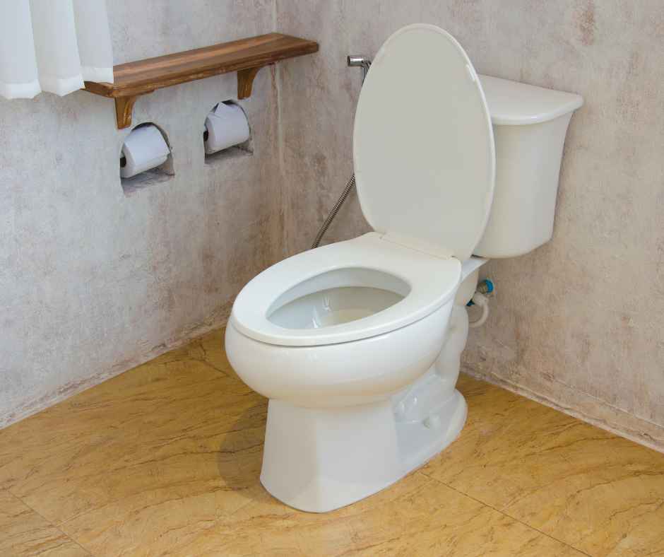 A toilet in the corner of a bathroom